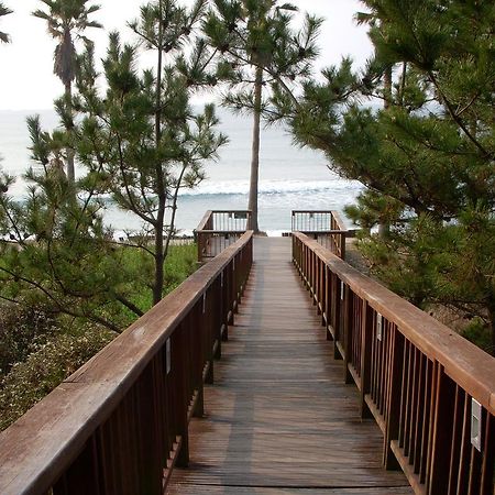 Вилла Sunny Day Jeju Согвипхо Экстерьер фото
