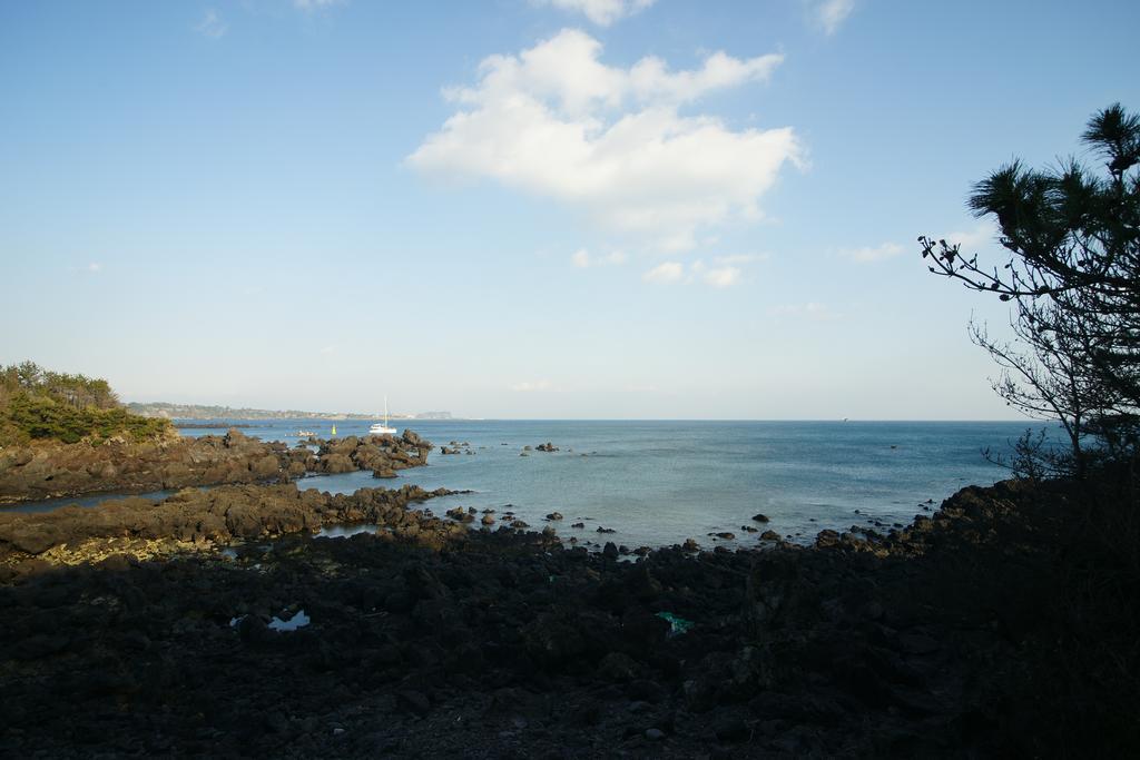 Вилла Sunny Day Jeju Согвипхо Экстерьер фото