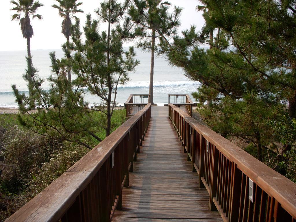 Вилла Sunny Day Jeju Согвипхо Экстерьер фото
