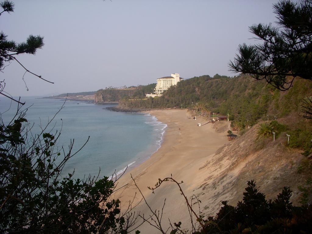 Вилла Sunny Day Jeju Согвипхо Экстерьер фото