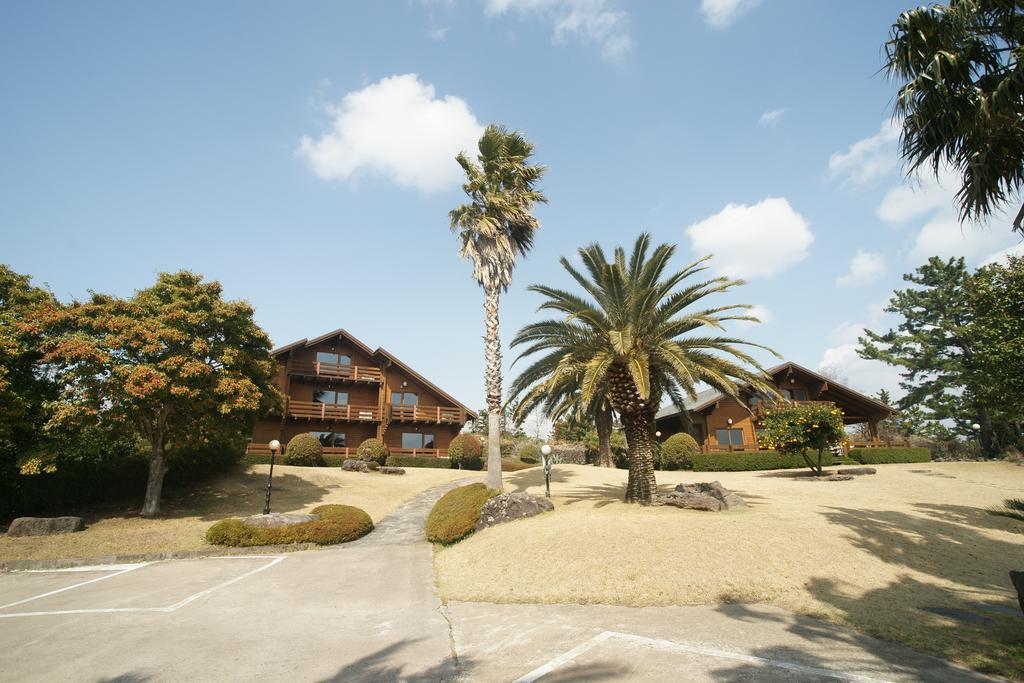 Вилла Sunny Day Jeju Согвипхо Экстерьер фото