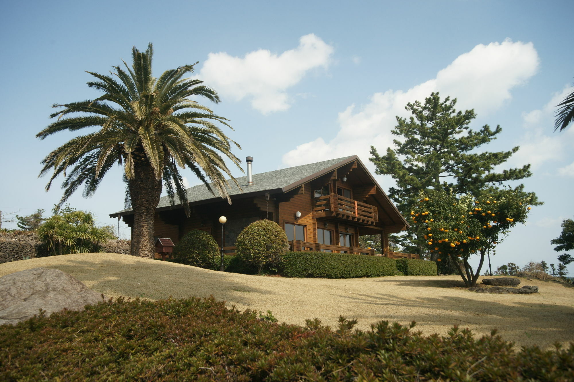 Вилла Sunny Day Jeju Согвипхо Экстерьер фото