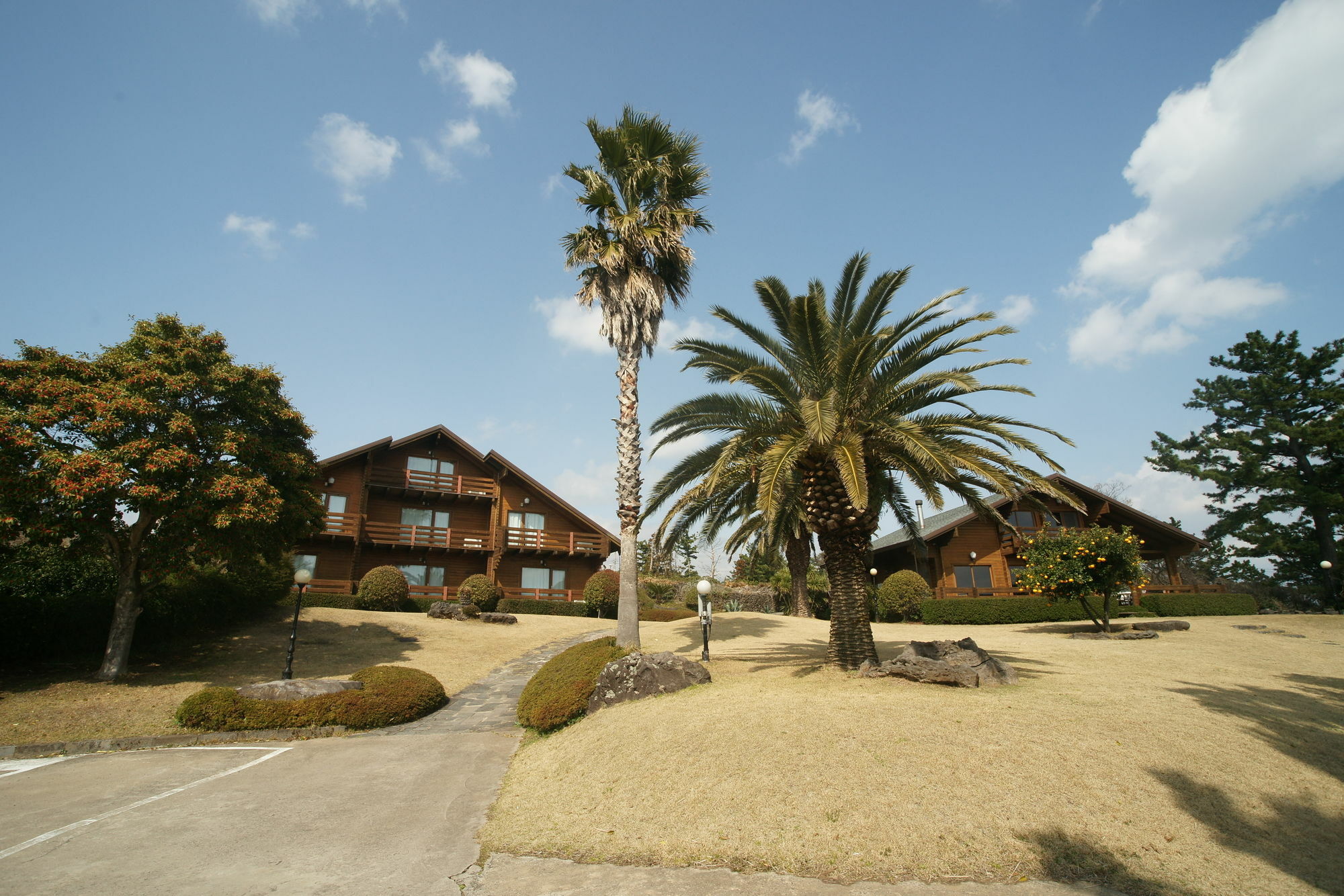Вилла Sunny Day Jeju Согвипхо Экстерьер фото