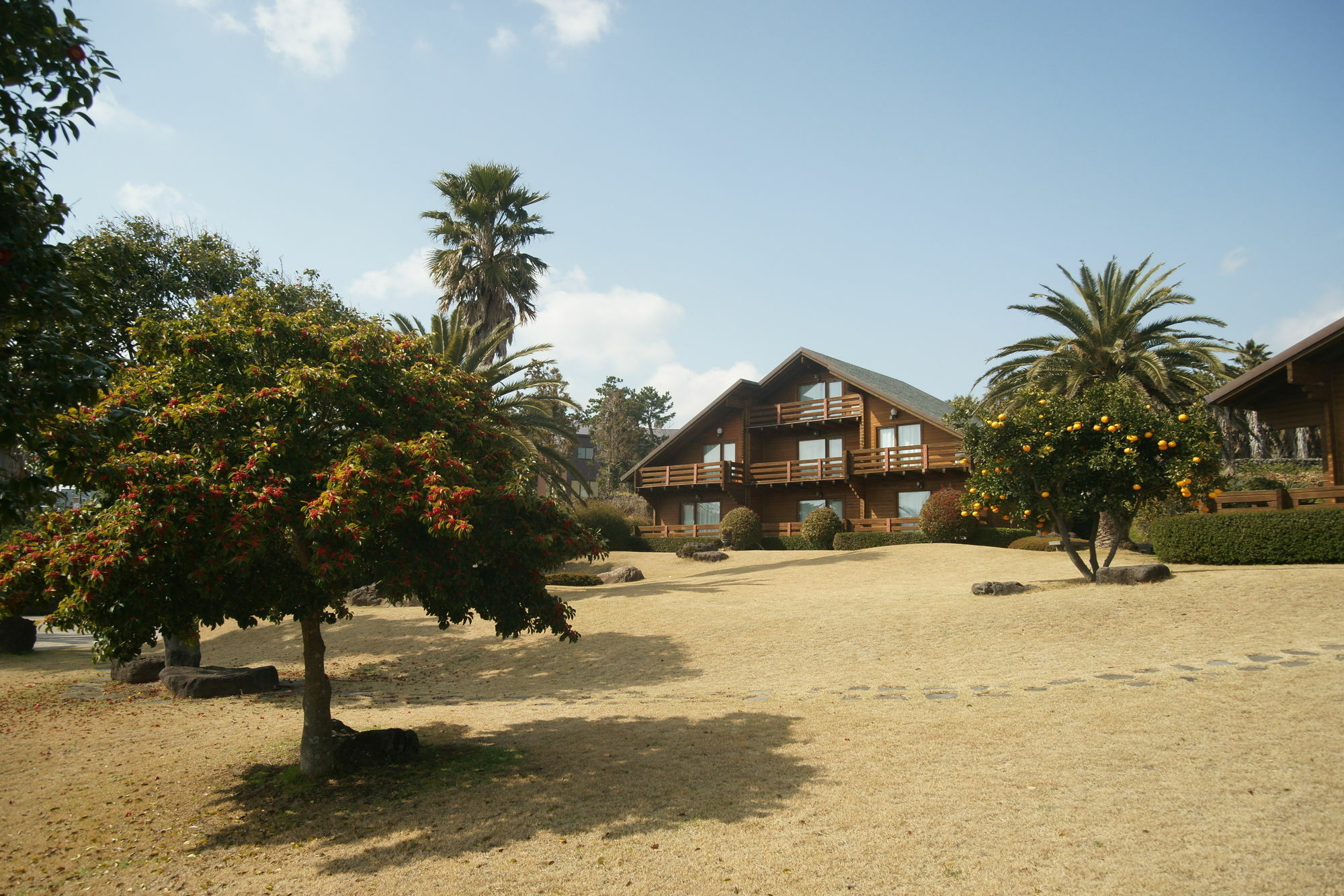 Вилла Sunny Day Jeju Согвипхо Экстерьер фото