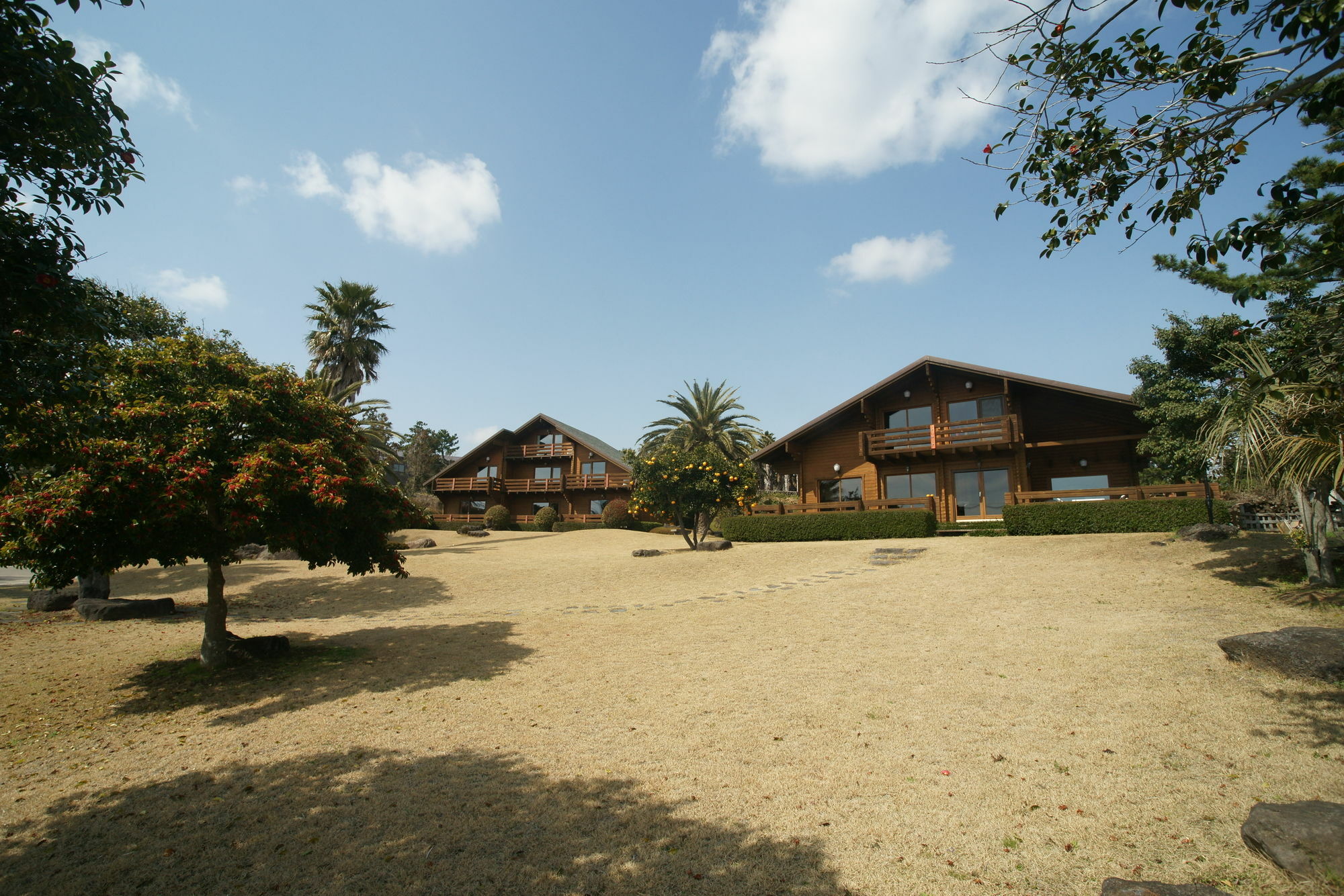 Вилла Sunny Day Jeju Согвипхо Экстерьер фото