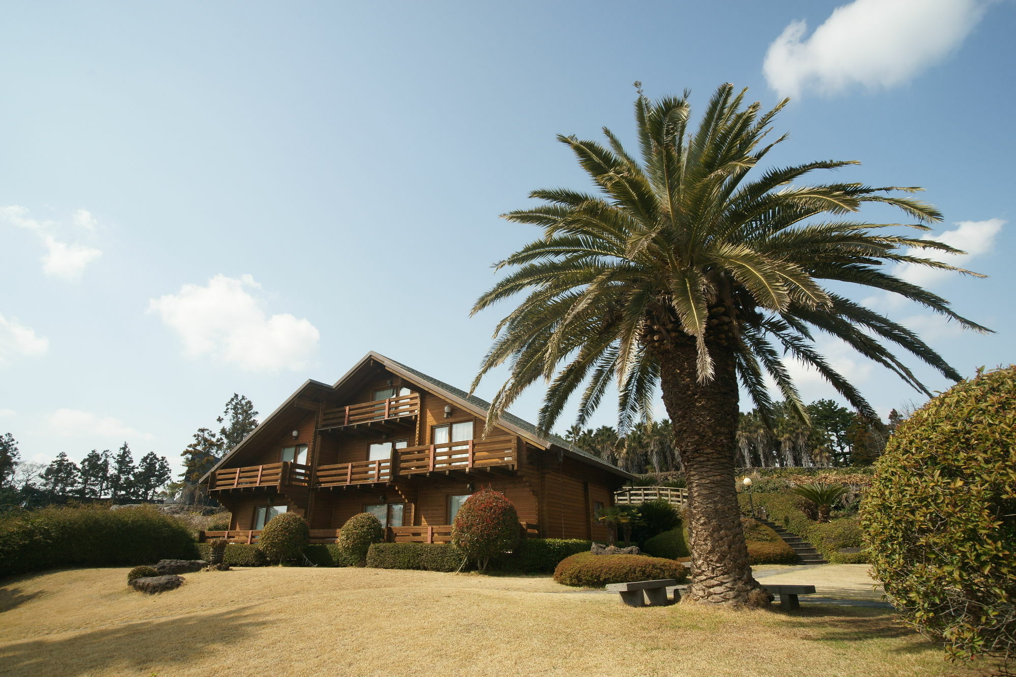 Вилла Sunny Day Jeju Согвипхо Экстерьер фото