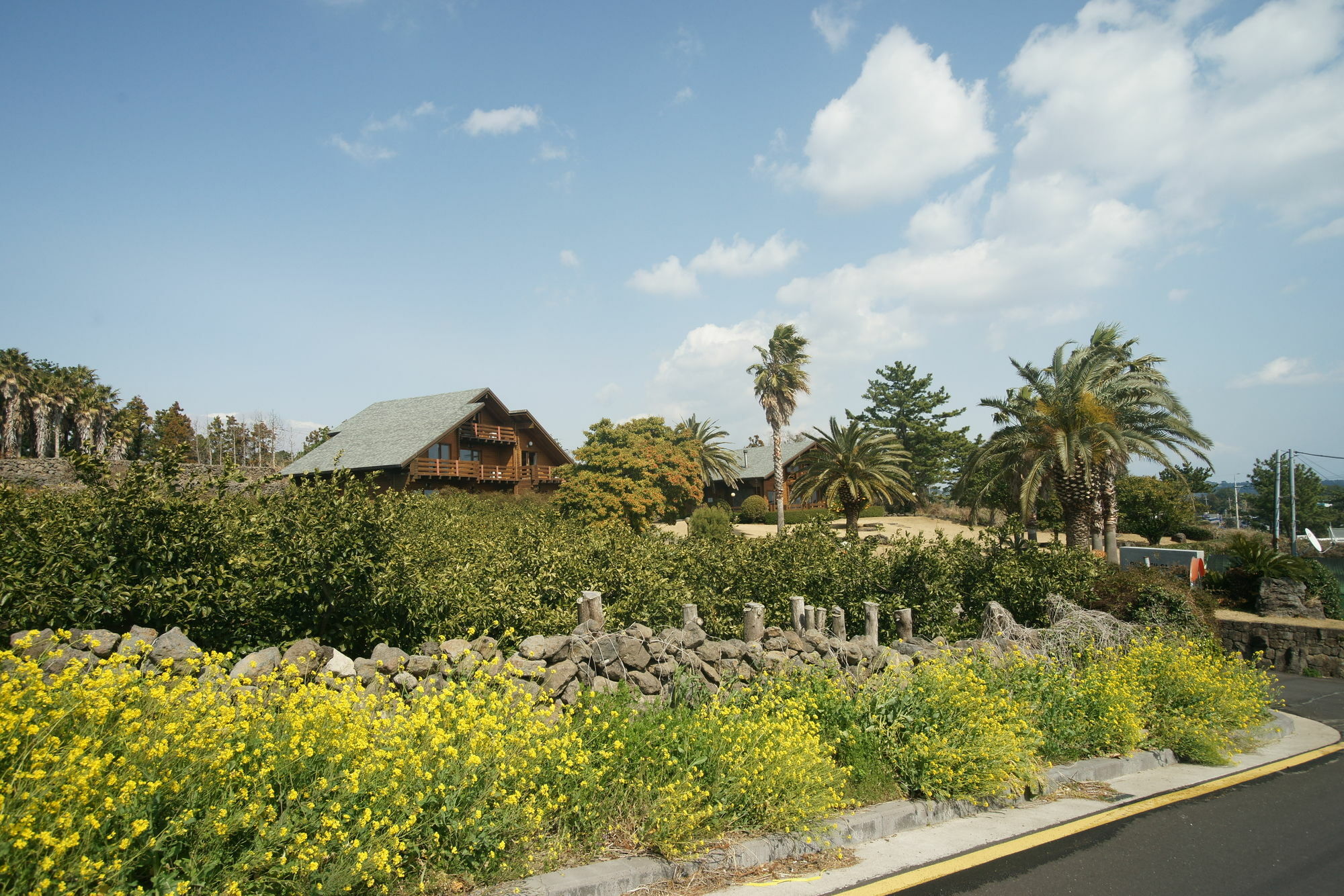 Вилла Sunny Day Jeju Согвипхо Экстерьер фото