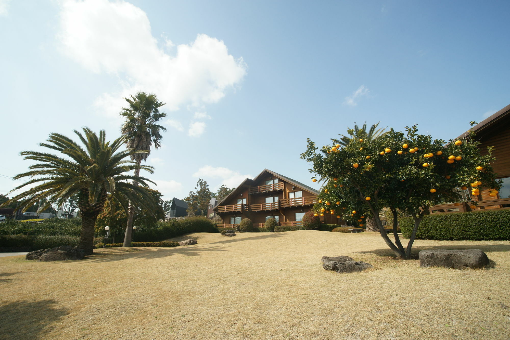 Вилла Sunny Day Jeju Согвипхо Экстерьер фото
